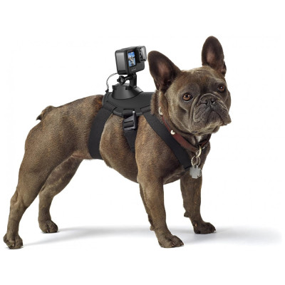 Fetch Dog Harness Coleira suporte, GOPRO ADOGM 001, Preto