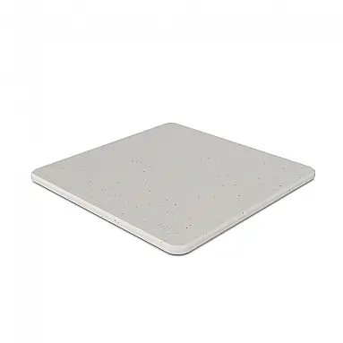 Woodfire Outdoor Oven Pizza Stone