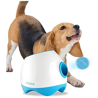 iFetch Lançador de Bolinhas Interativo
