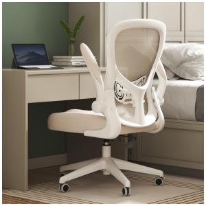 Cadeira de Escritório Ergonômica Giratória e Ajustável com Apoio 3D, HBADA HDNY163, Cinza