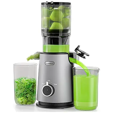 Centrifuga de Frutas com Prensa