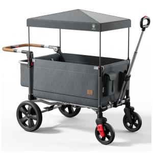 Carrinho de Passeio Vagão para 2 Crianças com Guiador Ajustável e Bolsos, Ever Advanced, Cinza