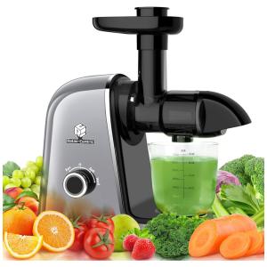 Juicer Machines, Slow Masticating Juicer Grey, RELAX CENTRIC