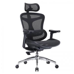 Cadeira Ergonômica de Escritório SIHOO Doro C300 Preta, Apoio Lombar Dinâmico Adaptativo, Braços 3D, Encosto Ajustável 6 cm, Modelo DORO-C