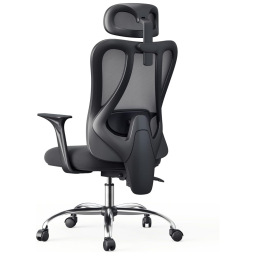 Cadeira de Escritório Ergonômica e Ajustável com Apoio para Lombar, HBADA, Preto