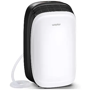 Desumidificador 50L com Mangueira de
