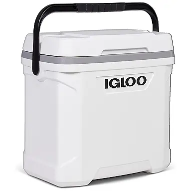 Cooler Térmico Profissional 30L com
