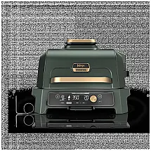 Woodfire Premium XL BBQ Grill in Green and Gold