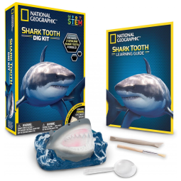 Kit de Escavação de Dentes de Tubarão Reais para Crianças, NATIONAL GEOGRAPHIC 80473, Azul