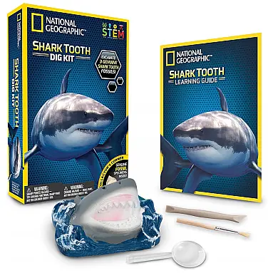 Kit de Escavação de Dentes