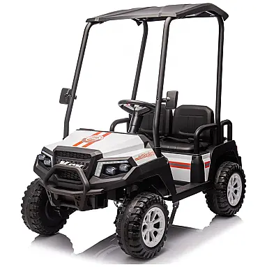 Carrinho Elétrico Infantil 4x4 24V