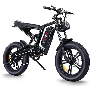 Bicicleta Elétrica para Adultos com