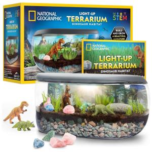 Kit de Terrário Iluminado National Geographic Para Crianças - Construa um Habitat de Dinossauro Com Plantas Reais e Pedras Preciosas