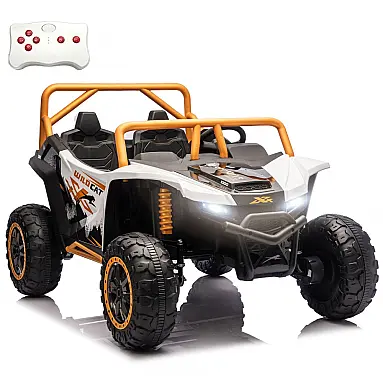 Carro Elétrico Infantil Arctic Cat