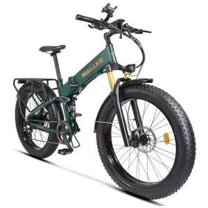 W Wallke Bicicleta Elétrica Motorizada 8 Velocidades e 3 Modos, 750W, Verde