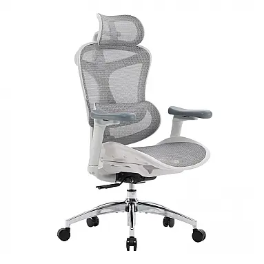 Cadeira Ergonômica SIHOO Doro C300