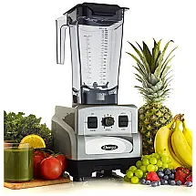 Liquidificador Profissional de Bancada 1.9L, 10 Velocidades, 110v, OMEGA OM6560S, Prateado