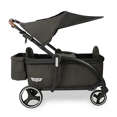 Carrinho de Passeio para 2