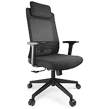 Cadeira de Escritório Ergonômica Giratória com Apoio de Braços 3D e Suporte Lombar Ajustável, DAVEJONES DJ027, Preto