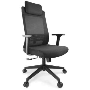 Cadeira de Escritório Ergonômica Giratória com Apoio de Braços 3D e Suporte Lombar Ajustável, DAVEJONES DJ027, Preto