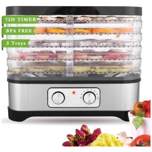 Desidratador de Alimentos, 5 Bandejas, e Transparente, 110v, ACESHIN, Prateado