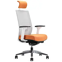 EasyErgo Cadeira de Escritório Ergonômica Giratória e Ajustável com Apoio, Laranja Magma
