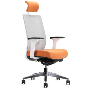 EasyErgo Cadeira de Escritório Ergonômica Giratória e Ajustável com Apoio, Laranja Magma