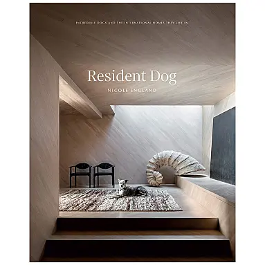 Resident Dog Volume Two Casas