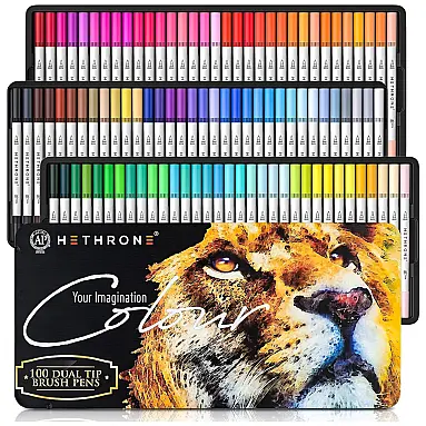 Conjunto de Canetas Artisticas 100