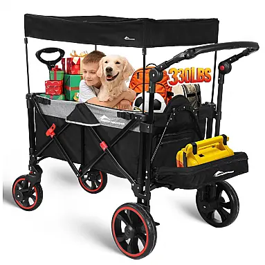 Carrinho de Passeio com Capota
