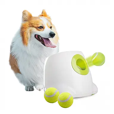 Lançador Automático de Bolas para