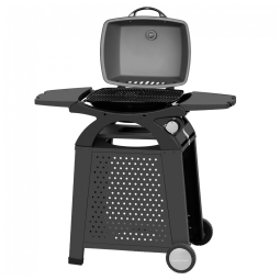 Churrasqueira a Gás 11.500 BTU com 1 Queimador e Mesas Laterais em Aço Inoxidável, MASTER COOK, Preto