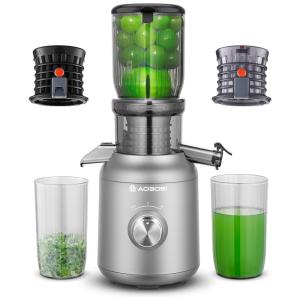 Centrifuga de Frutas de Prensa Fria com 2 Filtros, Escova e Motor Silencioso, 110V 250W, AAOBOSI