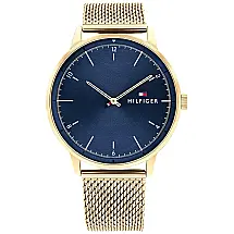 Relógio Masculino Analógico Quartzo, TOMMY HILFIGER 1791877, Dourado