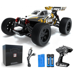 Fancy Petty Carrinho de Controle Remoto Escala 116 para Adultos e Crianças com Bateria Recarregável, Branco e Preto