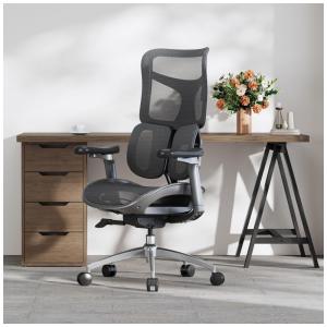 Cadeira Ergonômica de Escritório SIHOO Doro S100 Preta, Apoio Lombar Dinâmico Duplo, Braços 4D, Encosto Ajustável em 5 Níveis