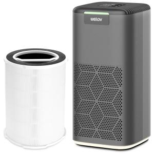 Purificador de Ar com Filtro True HEPA H13, Área até 100 m2, Welov P200S, Cinza