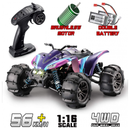 Off Road, Controle Remoto, Escala 116 2.4Ghz, Adultos, Crianças, Roxo