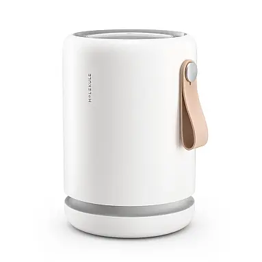 Mini Purificador de Ar para