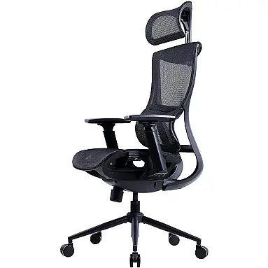 Dowinx Cadeira de Escritório Ergonômica