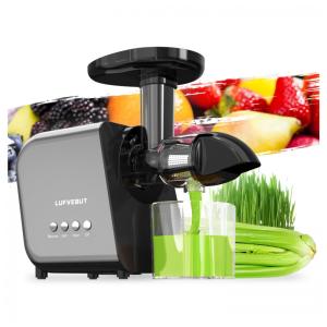 Centrífuga de Frutas e Vegetais com Motor Reversível, 110V 250W, LUFVEBUT, Cinza