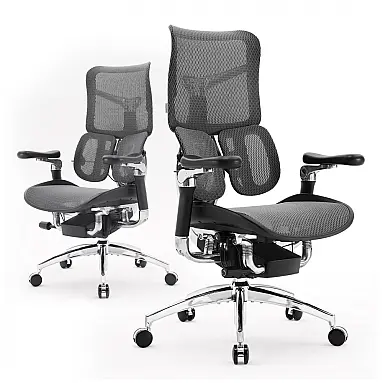 Cadeira Ergonômica SIHOO Doro S300