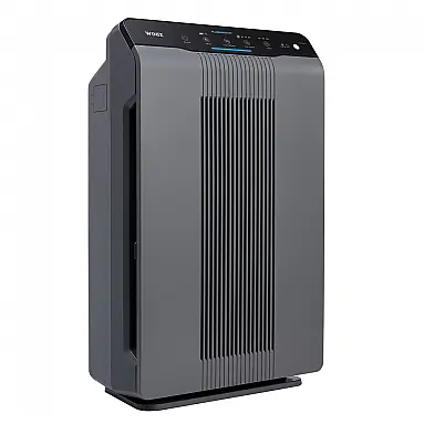 Winix 5300 2 Purificador de