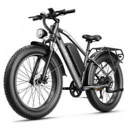 Bicicleta elétrica Jasion EB5 MAX cinza, pneus 26x4, motor até 2000W, bateria 48V 15Ah, 7 marchas, suspensão dianteira e voltagem 110V