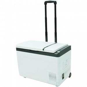 JUNKUN Mini Geladeira, Cooler Automotiva Elétrico Portátil 30L, 110V, Branco