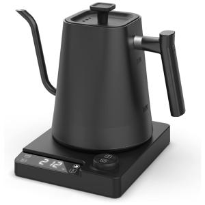 GOODGAD Chaleira Elétrica 900mL de Aço Inoxidável e Controle de Temperatura, 110V, 1200W, Preta