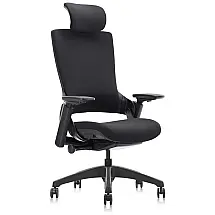 CLATINA Cadeira de Escritório Ergonômica Apoio Ajustável 3D