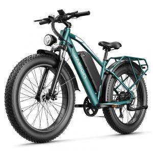 Bicicleta elétrica Jasion EB5 MAX verde, pneus 26x4, motor até 2000W, bateria 48V 15Ah, 7 marchas, suspensão dianteira e voltagem 110V