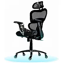 Cadeira de Escritório nômica com suporte lombar e rodas de patins, OBJECTCHAIR ERGO PRO BLACK, Preto