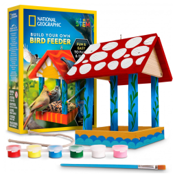 Build Your Own Bird Feeder Kit Multicolor – Casa‑de‑Pássaros DIY em Madeira com Pintura, Diário de Observação e Pôster Educativo